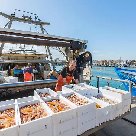 公寓 Les Palmeres 坎布里尔斯